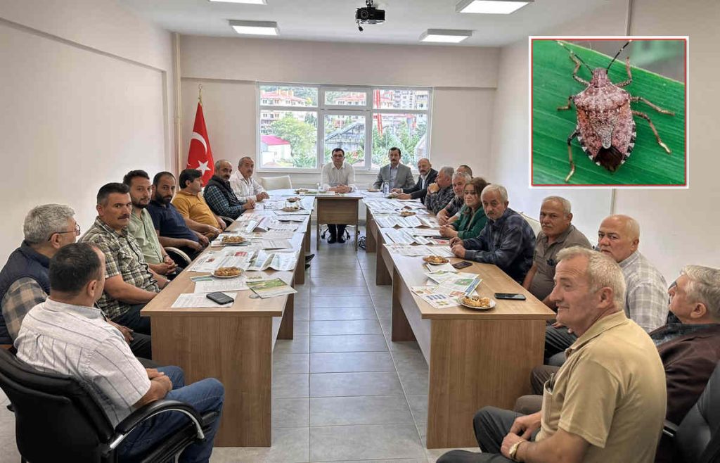 Kahreverengi Kokarca ile ilgili toplantı yapıldı