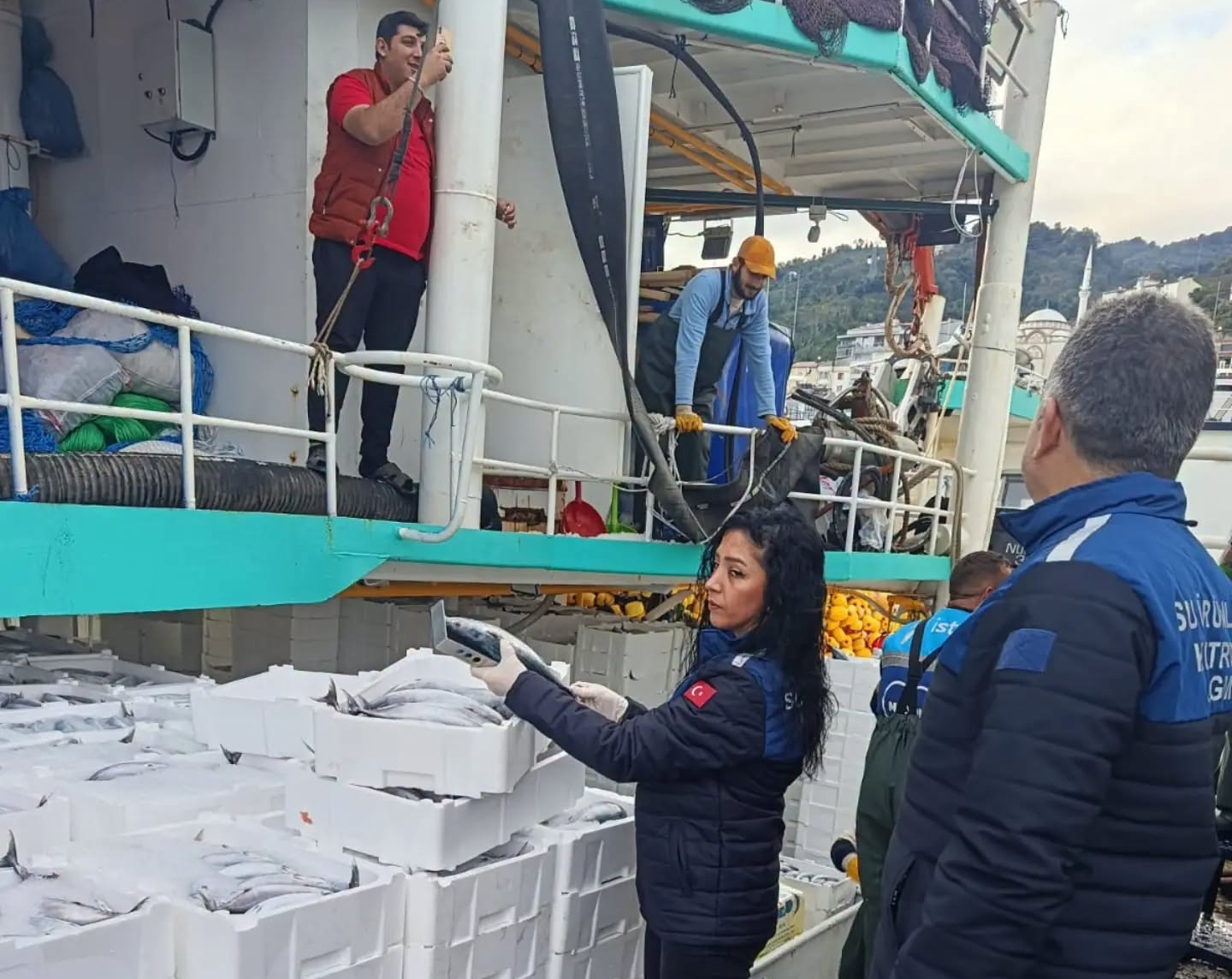 Tirebolu Limanı’nda Palamut Denetimi: Tekneler Kontrolden Geçirildi